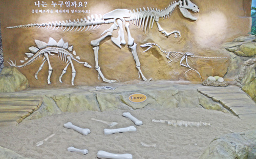 쿵쾅쿵쾅 공룡마을 체험장 쓱싹쓱싹 화석찾기
